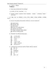 Turbo Pascalio pradmenys. Modulis Crt 13 puslapis