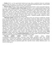 Urbanistikos istorija ir filosofija 16 puslapis