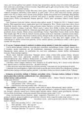 Urbanistikos istorija ir filosofija 4 puslapis