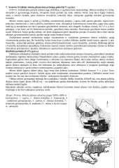 Urbanistikos istorija ir filosofija 6 puslapis