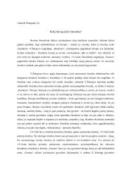 Kokį herojų siūlo literatūra?