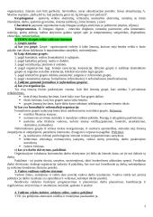 Valdymo psichologijos pasiruošimas egzaminui 2 puslapis