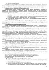 Valdymo psichologijos pasiruošimas egzaminui 11 puslapis