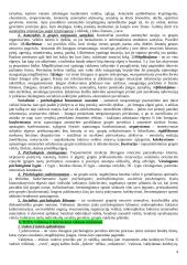 Valdymo psichologijos pasiruošimas egzaminui 4 puslapis