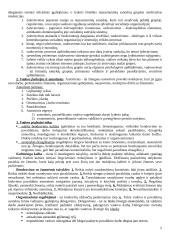 Valdymo psichologijos pasiruošimas egzaminui 5 puslapis