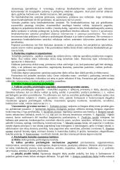 Valdymo psichologijos pasiruošimas egzaminui 7 puslapis