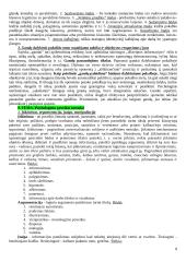 Valdymo psichologijos pasiruošimas egzaminui 8 puslapis