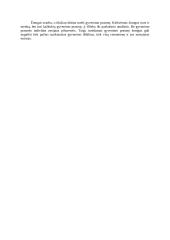 Ar svarbu žmogui turėti prasmę? 2 puslapis