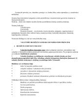 Viešojo sektoriaus finansai ir biudžetas 2 puslapis