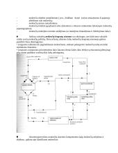 Viešojo sektoriaus finansai ir biudžetas 13 puslapis