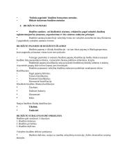 Viešojo sektoriaus finansai ir biudžetas 4 puslapis