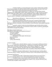 Viešojo sektoriaus finansai ir biudžetas 6 puslapis