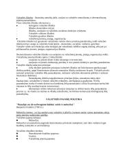 Viešojo sektoriaus finansai ir biudžetas 9 puslapis