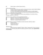 Viešojo sektoriaus finansai ir biudžetas 10 puslapis