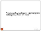Pirmoji pagalba nuodingoms ir pavojingoms medžiagoms patekus, pro burną, per odą, į akis, kvėpavimo takus 3 puslapis