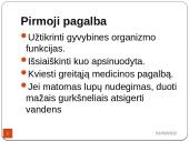 Pirmoji pagalba nuodingoms ir pavojingoms medžiagoms patekus, pro burną, per odą, į akis, kvėpavimo takus 6 puslapis