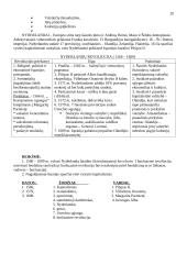 Visuotinės istorijos teorija egzaminui 20 puslapis