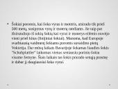 Pasaulio tautų šokiai 14 puslapis