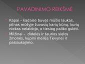 Milžinių kapai - analizė  4 puslapis