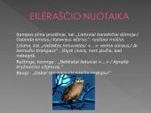 Milžinių kapai - analizė  10 puslapis