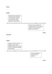 Istorijos laiko juosta 2 puslapis