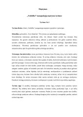 Atmintis ir mąstymas 4 puslapis