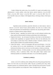 UAB „Coca-Cola“ įmonės išorinės komunikacijos analizė 12 puslapis