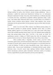 UAB „Coca-Cola“ įmonės išorinės komunikacijos analizė 16 puslapis