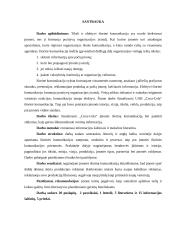 UAB „Coca-Cola“ įmonės išorinės komunikacijos analizė 3 puslapis