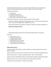 Anatomijos konspektas 2 puslapis