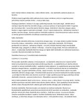 Anatomijos konspektas 4 puslapis