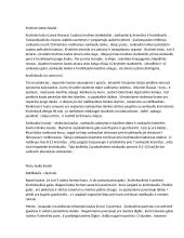 Anatomijos konspektas 6 puslapis