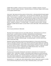 Anatomijos konspektas 7 puslapis