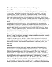 Anatomijos konspektas 8 puslapis