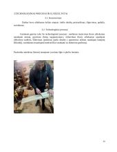 Technologijų mokyklinio egzamino darbo aprašas. „Dviaukštis inkilas“ 14 puslapis