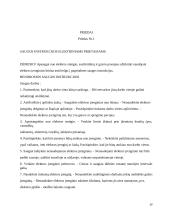 Technologijų mokyklinio egzamino darbo aprašas. „Dviaukštis inkilas“ 19 puslapis