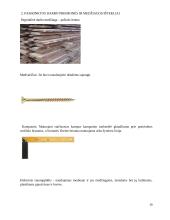 Technologijų mokyklinio egzamino darbo aprašas. „Dviaukštis inkilas“ 10 puslapis