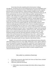 Viduramžiai ir jų vaizdavimas lietuvių literatūroje 2 puslapis