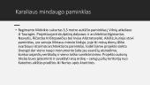Karaliaus Mindaugo paminklas 7 puslapis