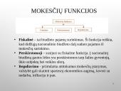 Lietuvos mokesčių sistemos analizė 4 puslapis