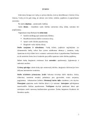 Vardo Adelina kilmės ir vartosenos tyrimas 3 puslapis