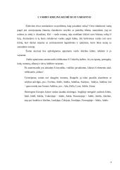 Vardo Adelina kilmės ir vartosenos tyrimas 4 puslapis