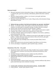 11 kl. autorių kartojimas