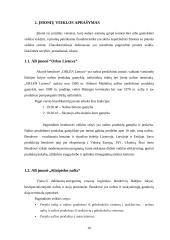 AB „Klaipėdos nafta“ ir AB „Orlen Lietuva“ finansinės veiklos analizė 8 puslapis