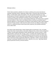 Baltaragio malūnas, pastraipa