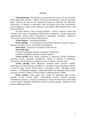 Frazeologizmai tinklaraščiuose 2 puslapis