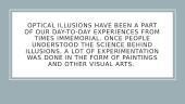Optical illusions in behavioral economics 2 puslapis