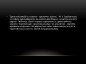 Egzistencializmas filosofijoje 2 puslapis