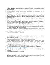 Slaugos situacijos valdymo planas 4 puslapis