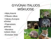 Skaidrės apie Italijos Respubliką 9 puslapis